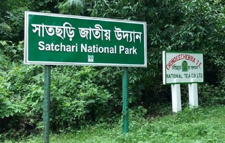 Satchari National Park, Habiganj needs Care